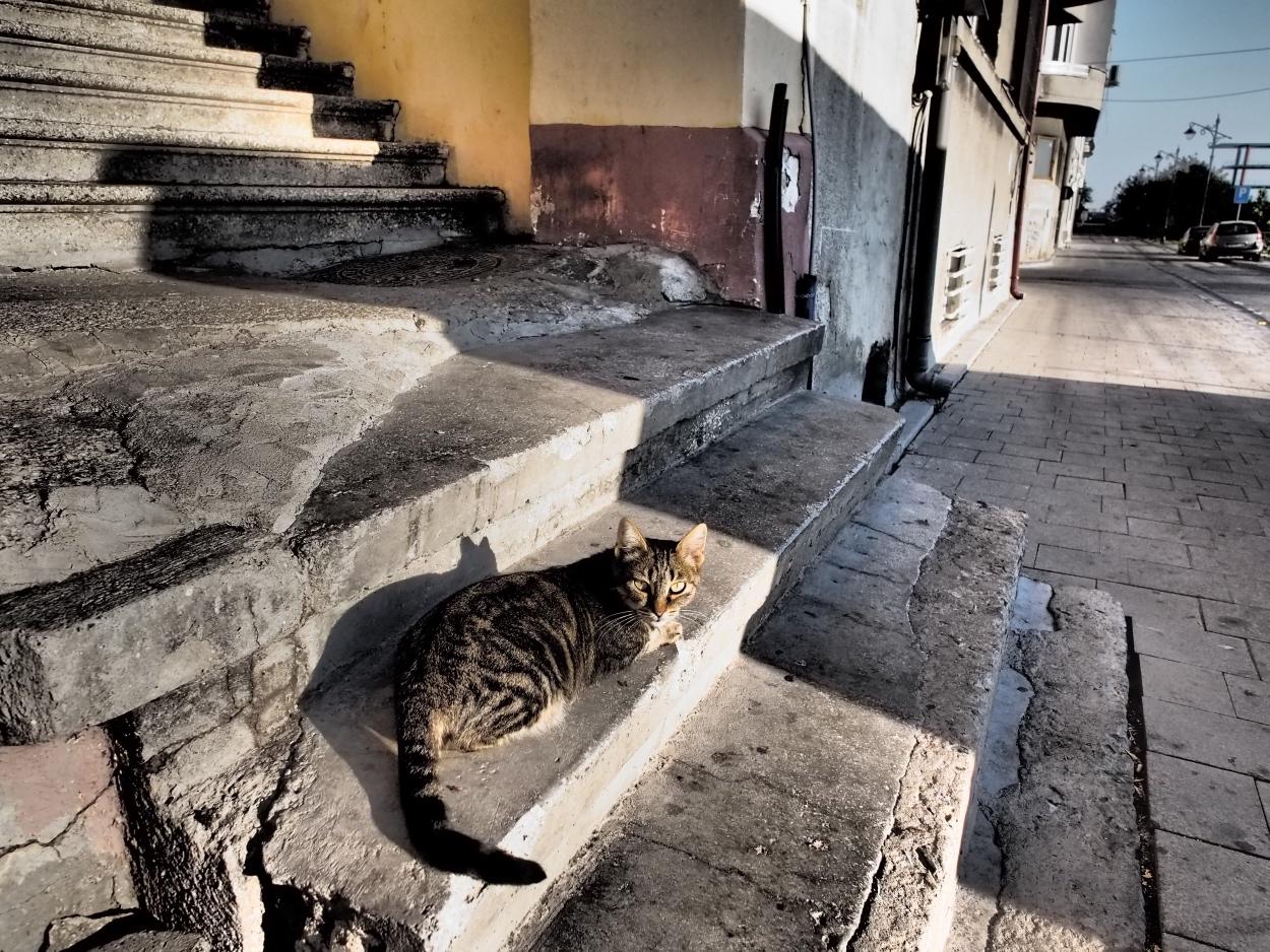 DAY 22… Constanța to Bucharest (by train)