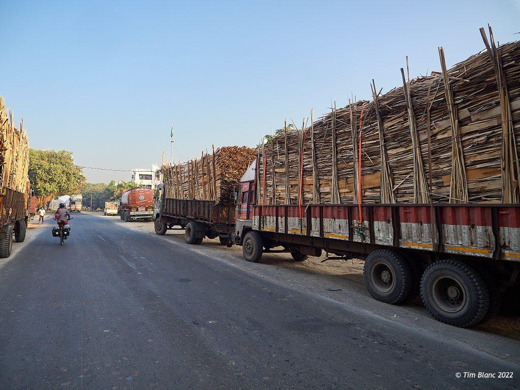 India Cycle Touring Gujarat
