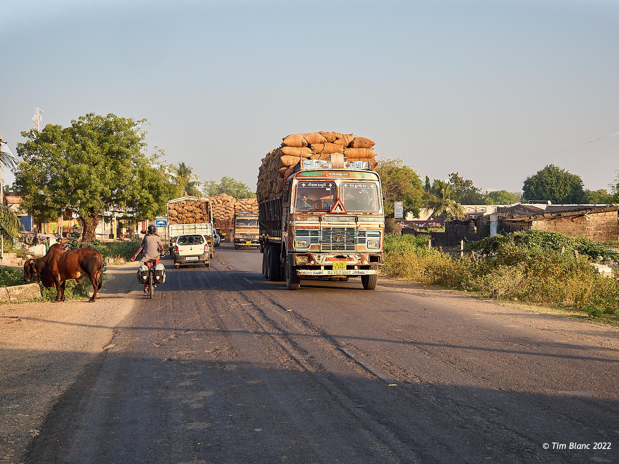 India Cycle Touring Gujarat