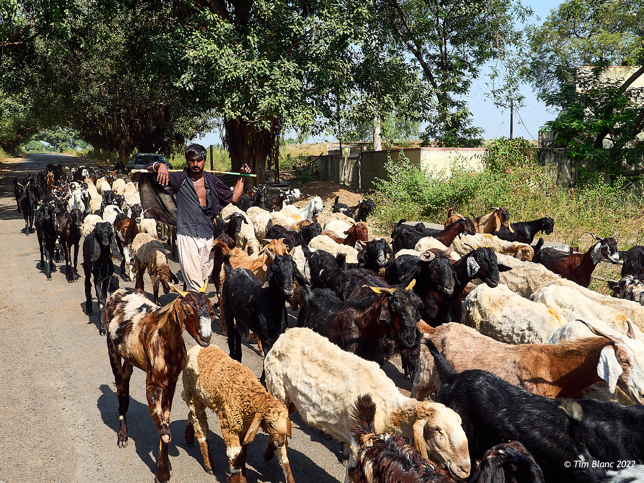 India Cycle Touring Gujarat
