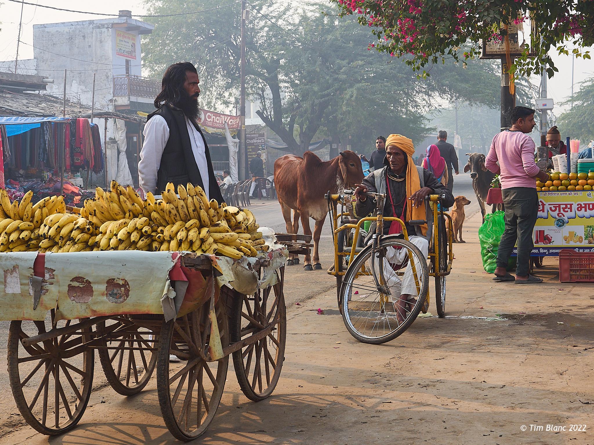 India Cycle Touring Rajasthan